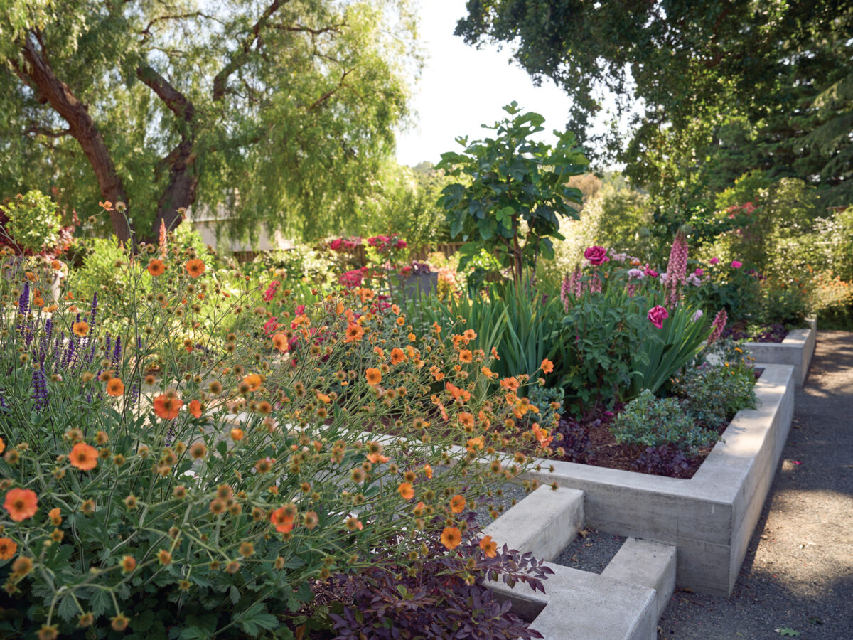 Raised Floral Beds