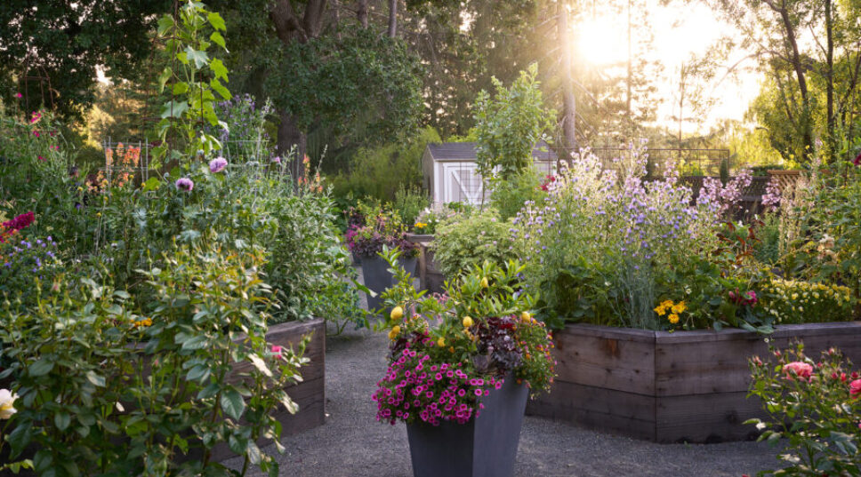 Spring Is Go-Time for Gardening—Don't Forget These Garden Tasks to Set It up for Success