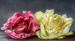 pink radicchio