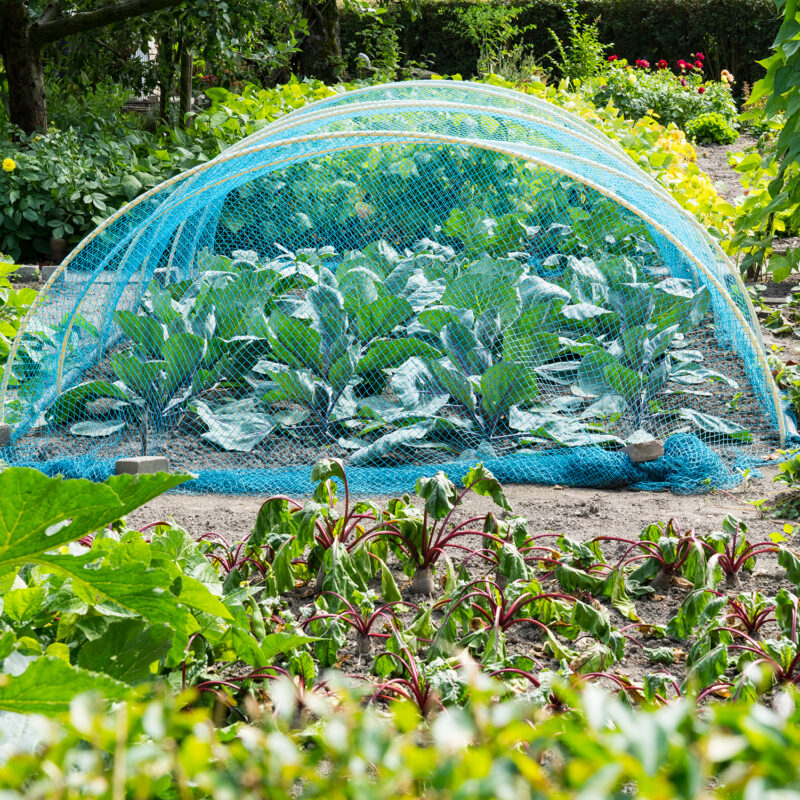 Winter Is Actually the Most Important Time for Your Garden. Here’s Your Seasonal Checklist.