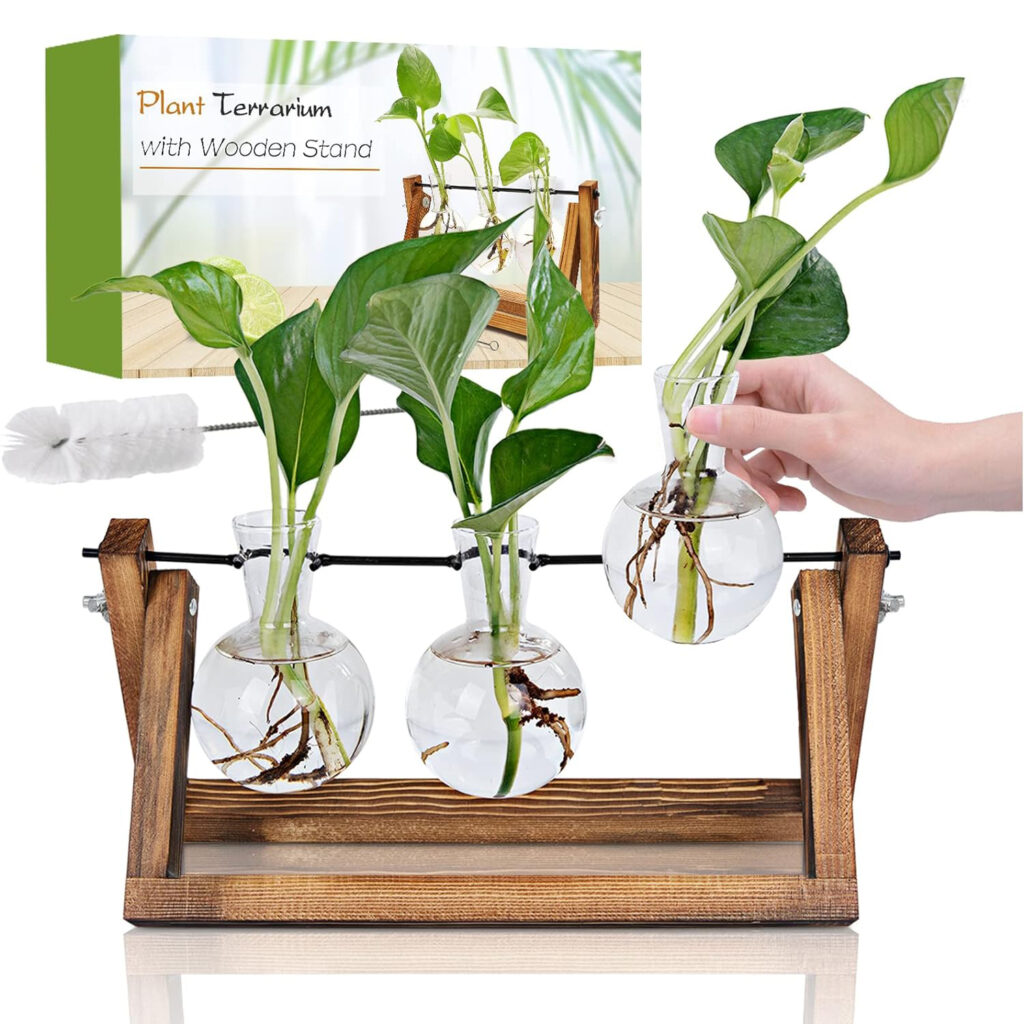 Plant Propagation Station