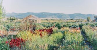 Flower Hat Farm Fields in Fall