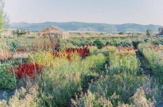 Flower Hat Farm Fields in Fall