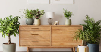 Easyplant Pots on a Console