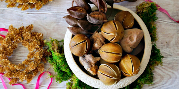 The Citrus Decor DIY You Need to Try This Holiday Season