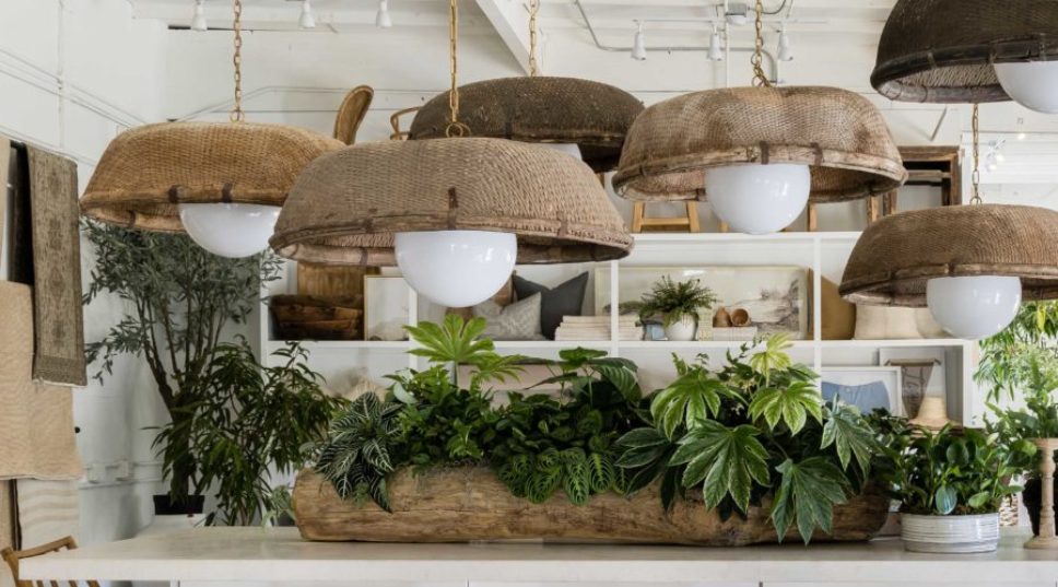 DIY a Houseplant Centerpiece No One Will Be Able to Stop Looking At