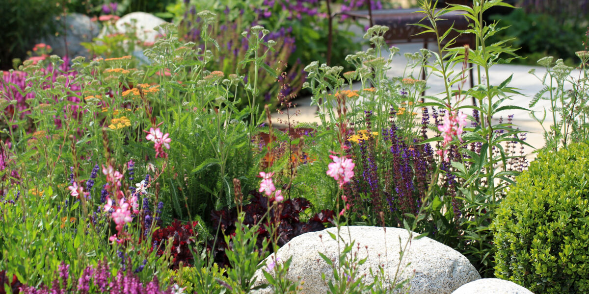 Rain Garden Flower Garden