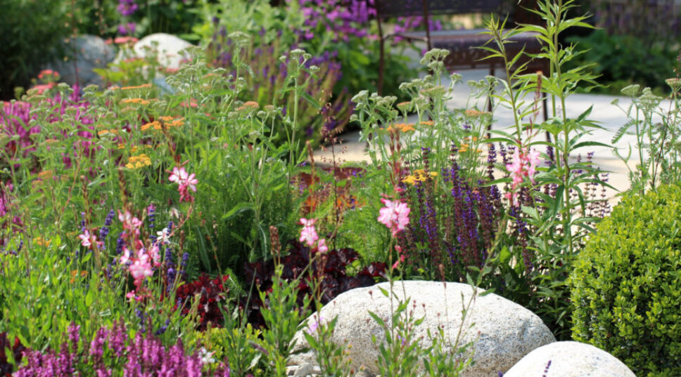 This Landscape Addition Is the Best Answer to a Smarter, Low-Water Garden