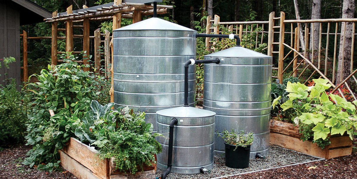 How to Catch, Store, and Use Rainwater