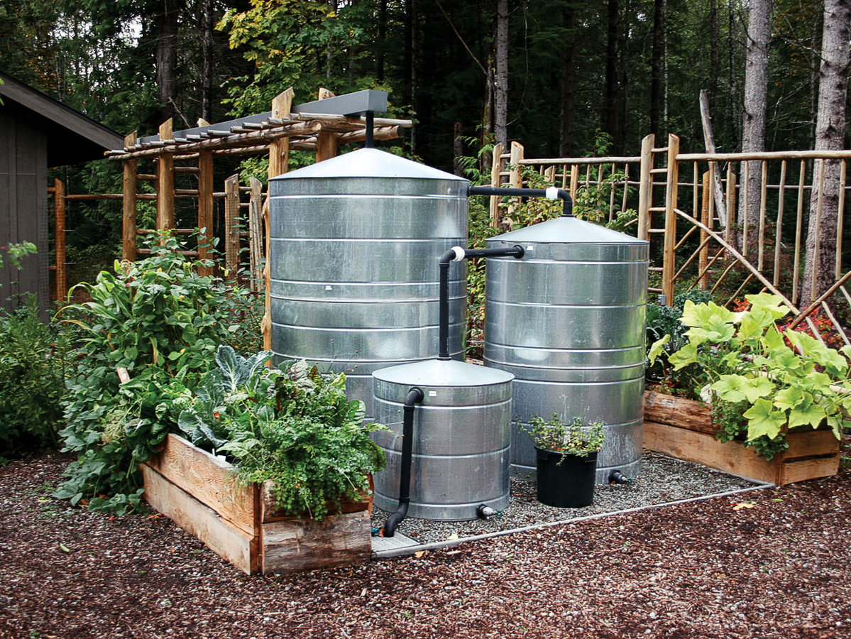 How to Store Rainwater for Garden Plants  