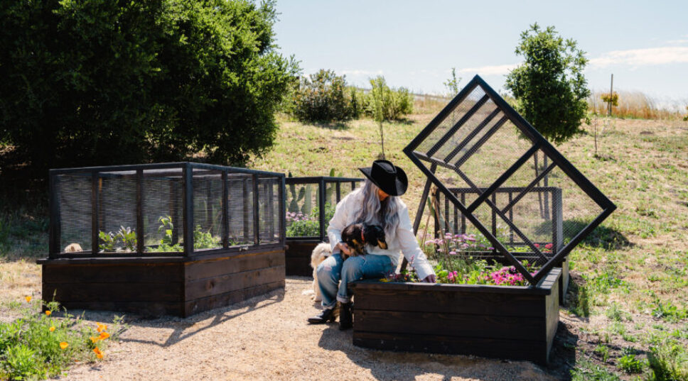 5 Ways to Customize Your Raised Beds This Summer and Give Your Garden a Glow-Up