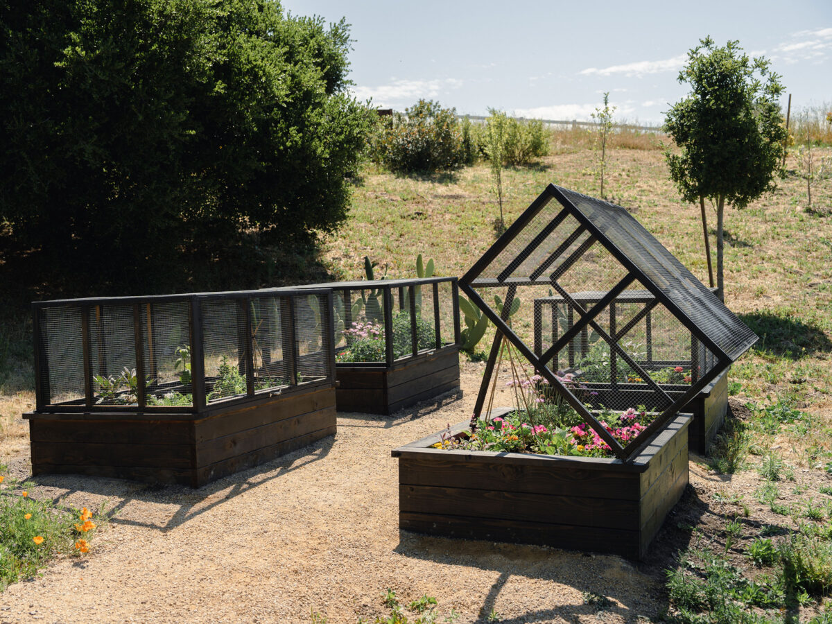 Boldly Colored Raised Beds