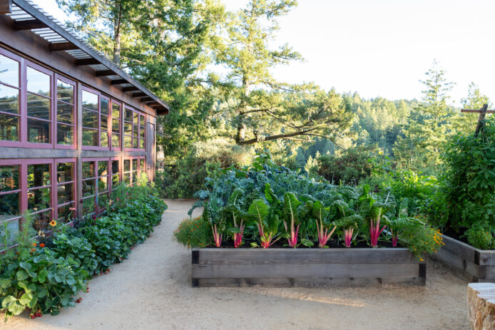 Raised Bed Greenhouse San Geronimo