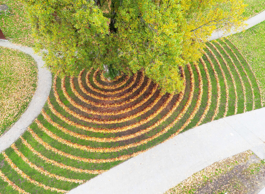 Rake Mob Pathway