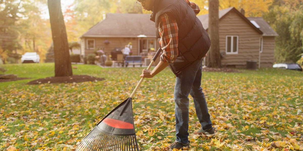 Follow This Fall Garden Cleanup Guide, Then Chill All Winter Long