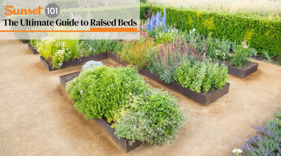 We Put Together the Ultimate Guide to Raised Beds. Sign Up To Get It!