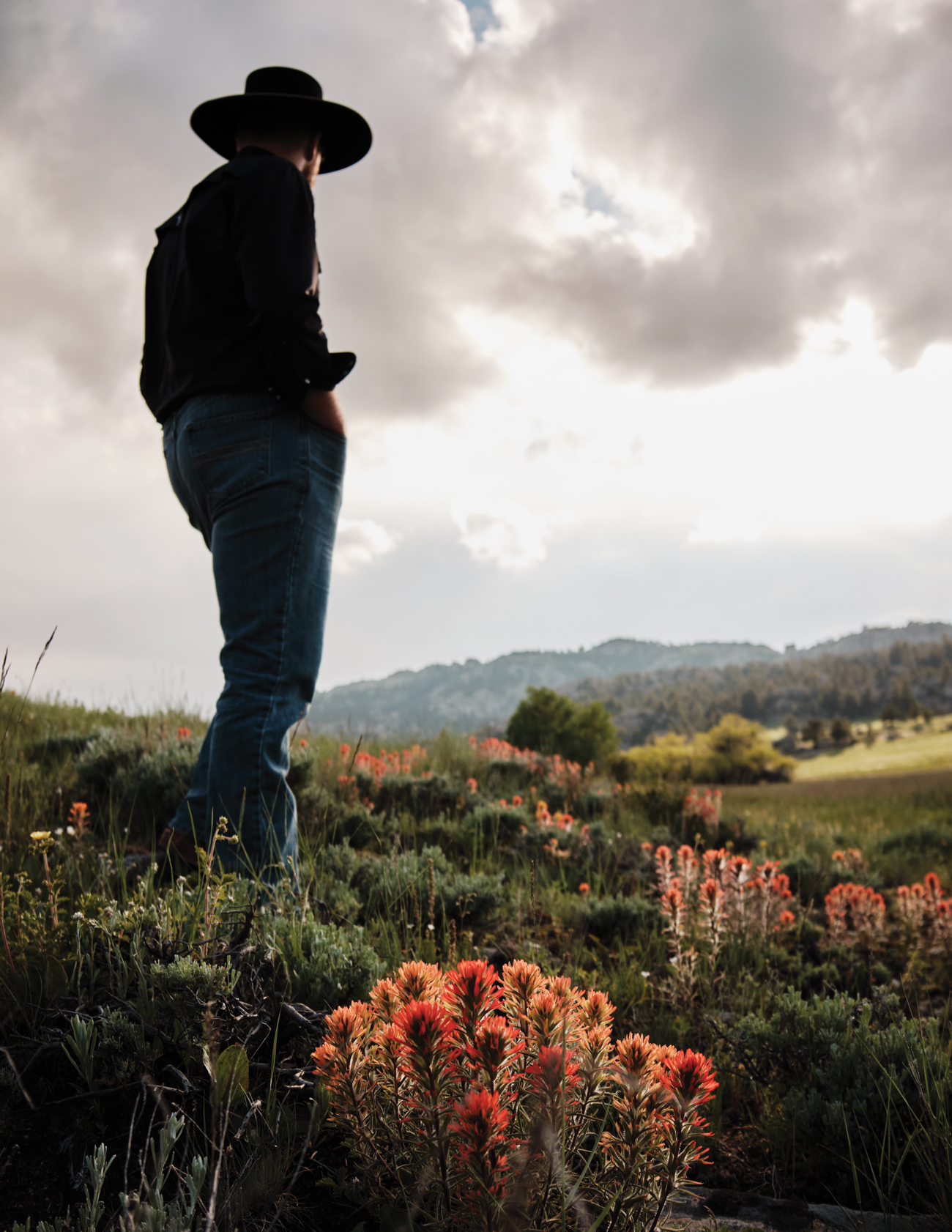 Reid Creek Lodge Cowboy Indian Paintbrush in Bloom