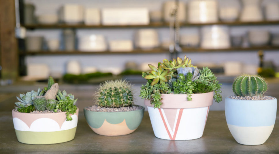 How to Paint Terra Cotta Pots and Instantly Improve Your Summer