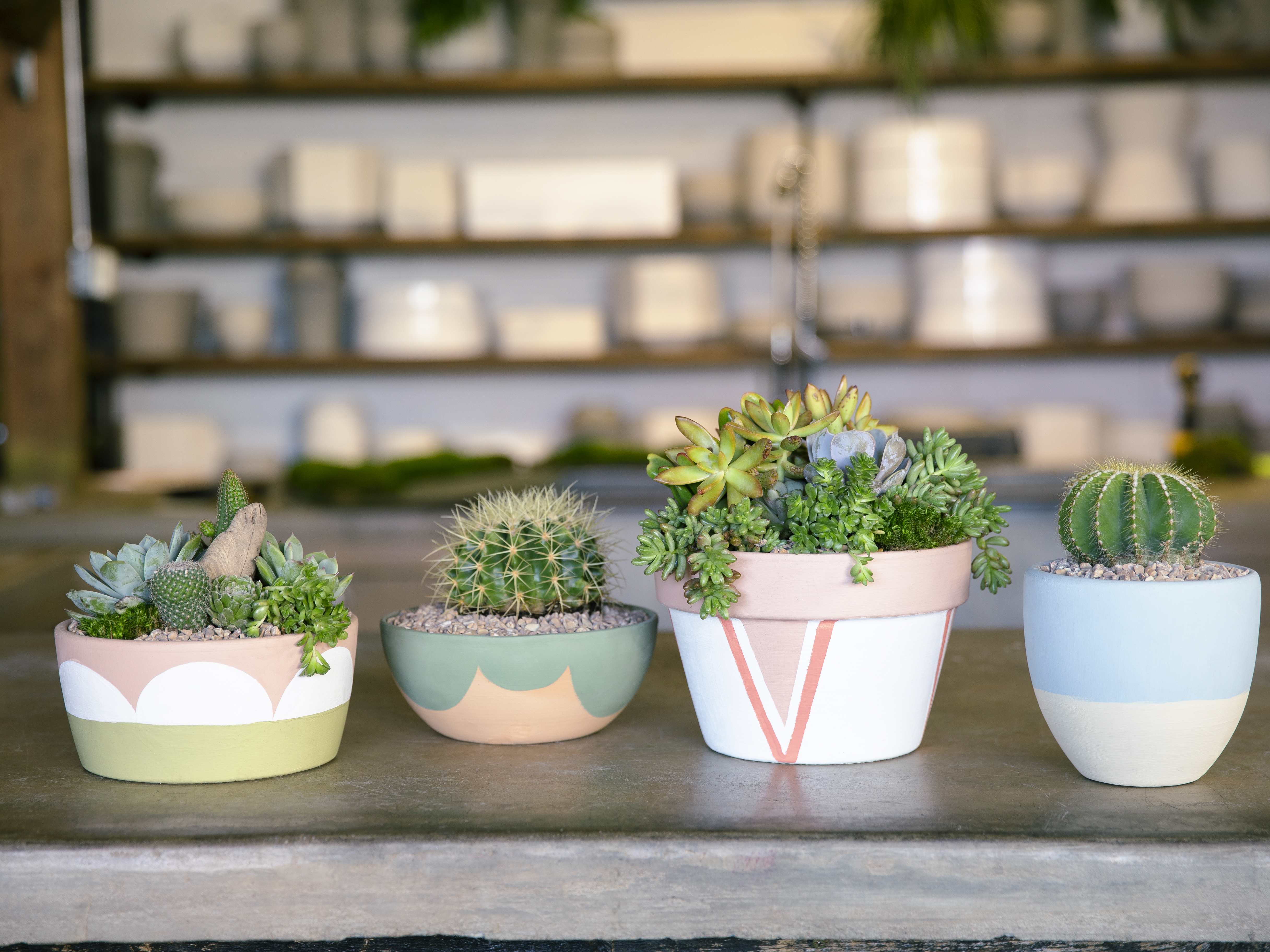Painted Terra Cotta Pots from Rolling Greens