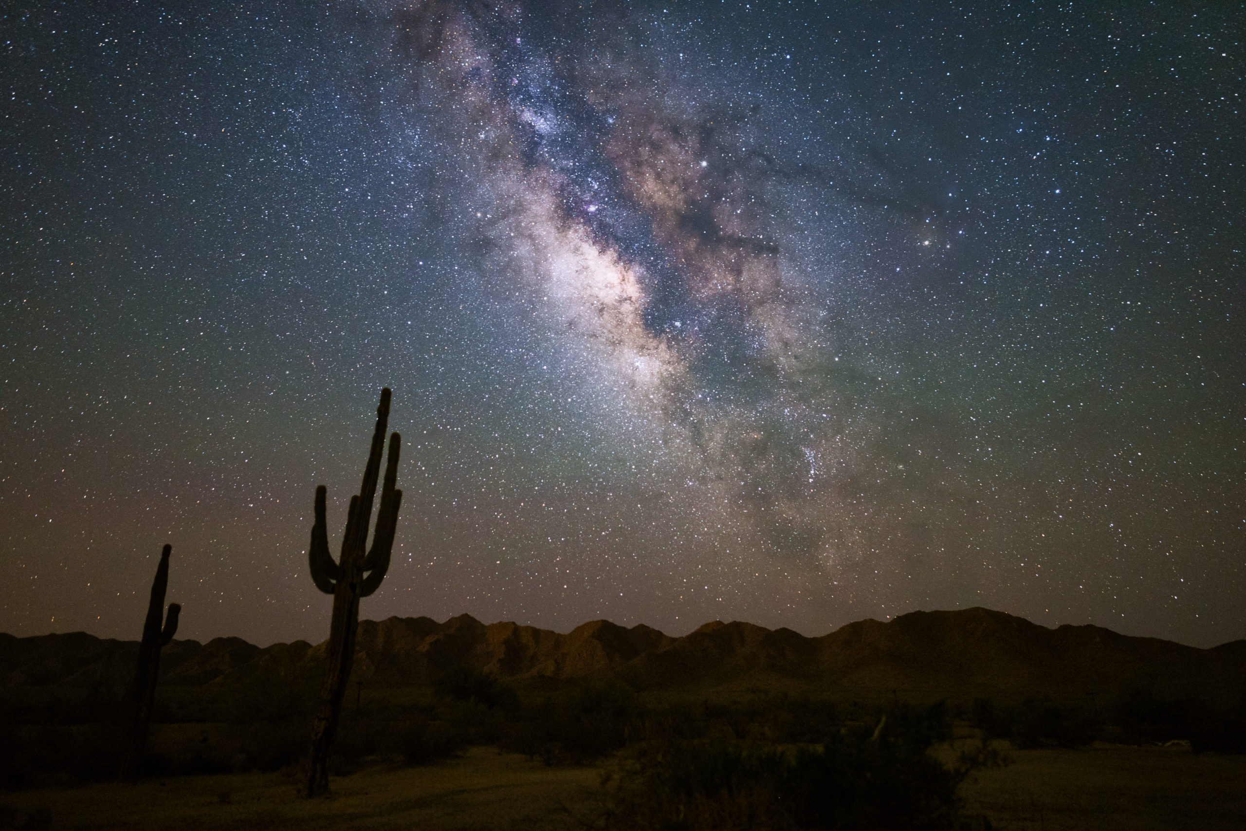 night desert saguaro