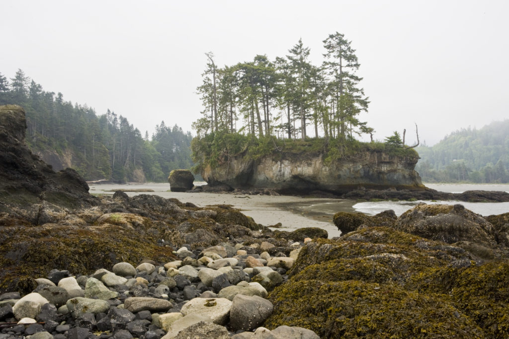 A view of Crescent Bay in Salt Creek Recreation Area from Tongue Point on the Olympic Peninsula of Washington at low tide.