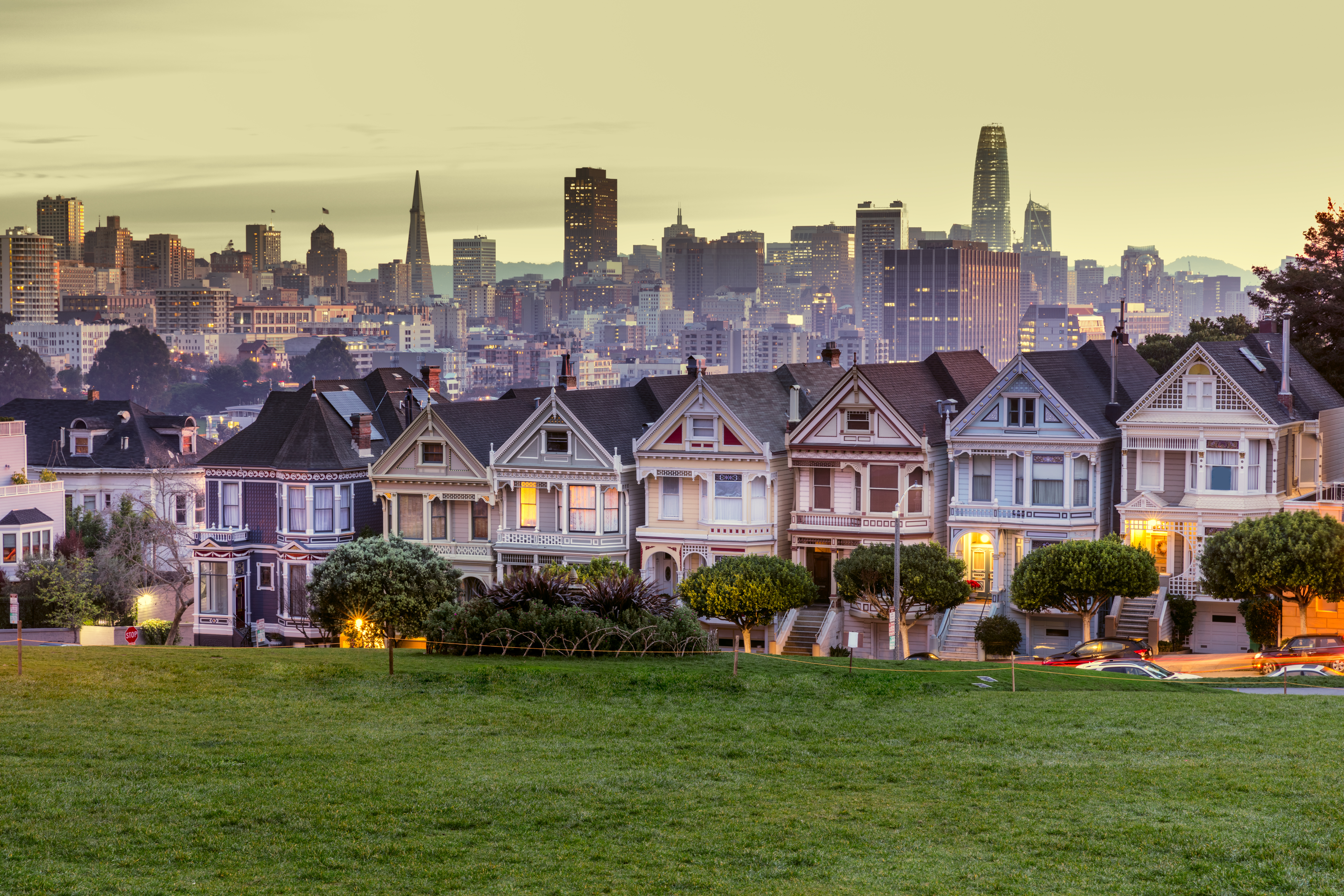 San Francisco's Alamo Square and Painted Ladies