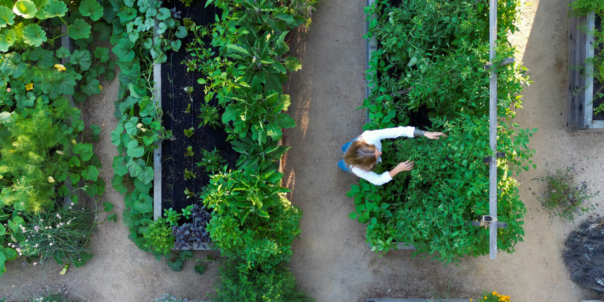 San Geronimo Raised Beds
