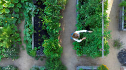 San Geronimo Raised Beds