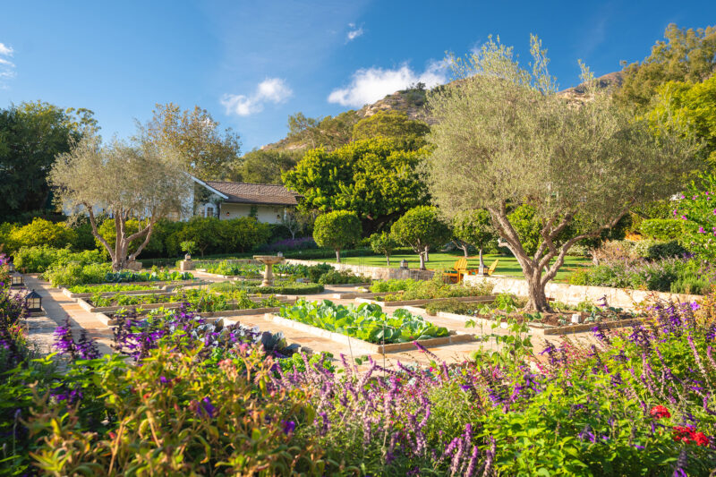 San Ysidro Ranch Chef Garden