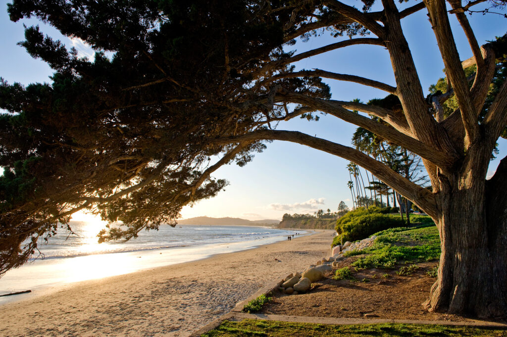 Santa Barbara Butterfly Beach