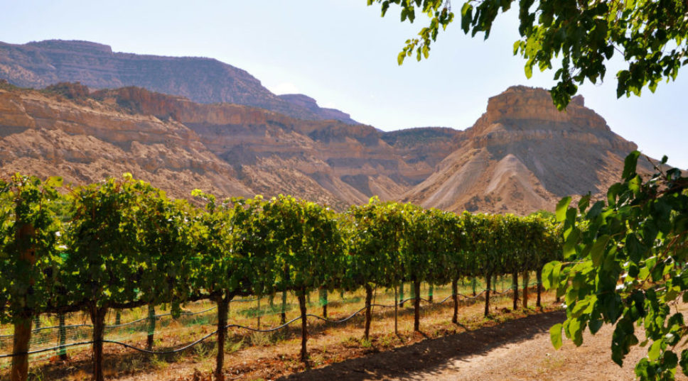 14 Secret Wine Country Trips You've Probably Never Heard Of
