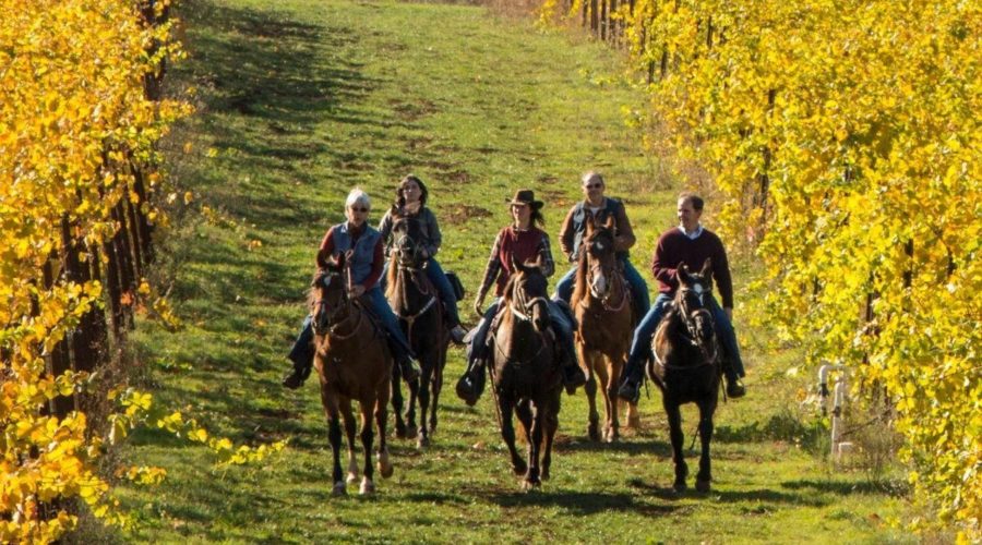 People riding horses through vineyards in one of Oregon's secret wine countries at Winter's Hill Winery in Dundee Hills