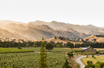 Seka Hills Olive Grove Tasting Room Drone Shot