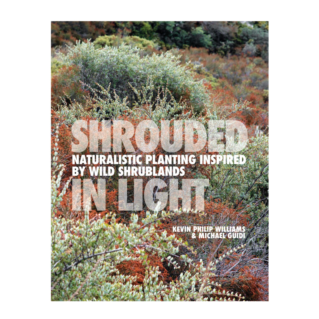 Shrouded in Light Book Cover
