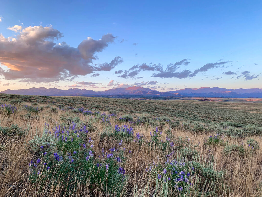 Shrouded in Light Great Sagebrush Sea Wyoming
