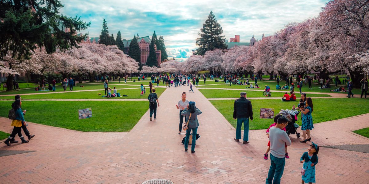 You Can See Beautiful Cherry Blossoms in the West—but Hurry!