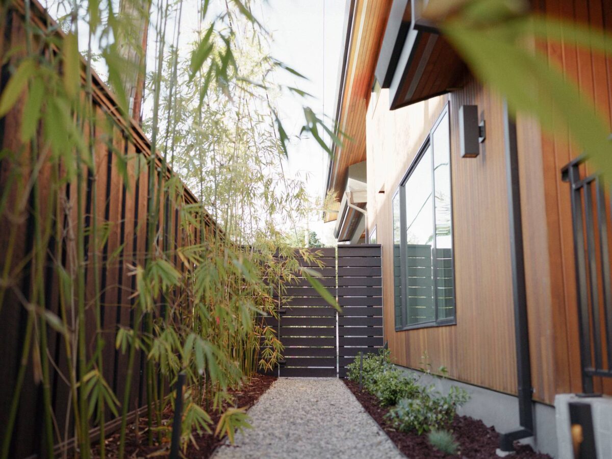 Gravel and Bamboo Side Yard