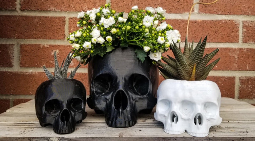 The Headbanger's Ball Goes Green With These Heavy Metal Houseplants