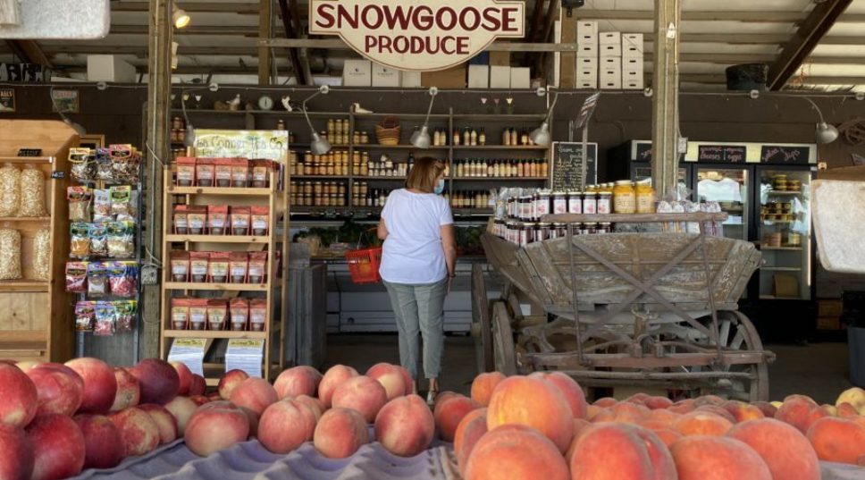 The Farmstand of All Farmstands Is Just Outside of Seattle