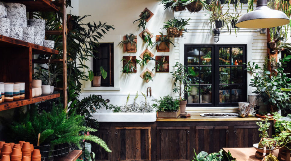 Floral Tattoos and Disco Balls Take These Plant Stores to the Next Level