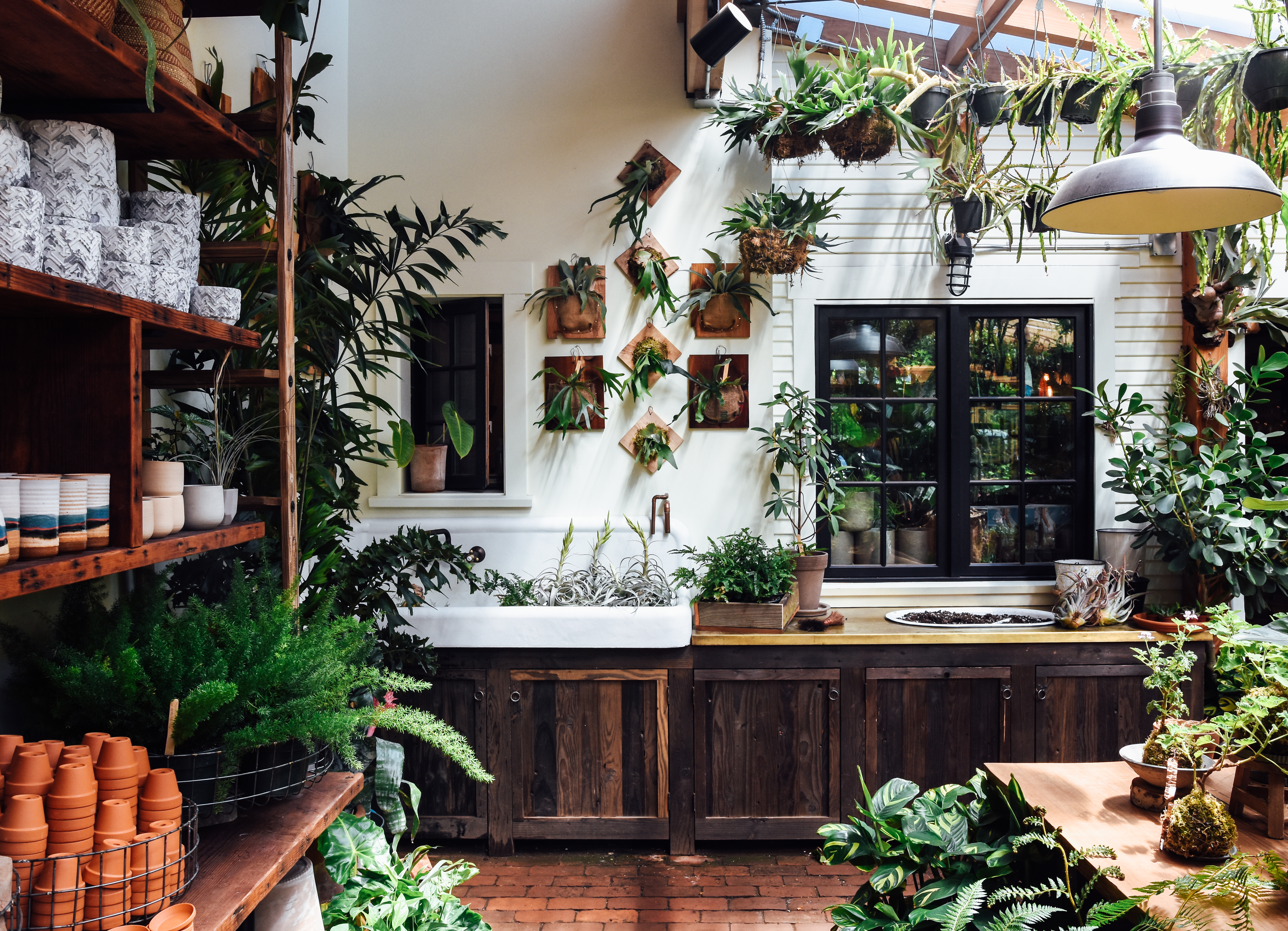 Our Favorite Plant Stores in the West - Sunset Magazine - Vimarsana News