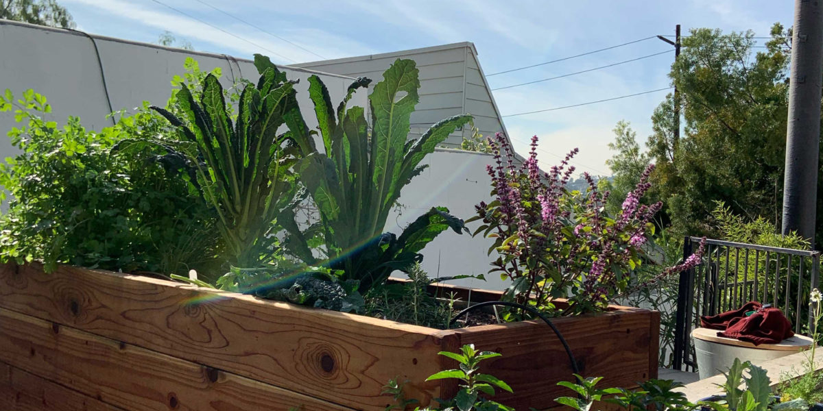 Raised Beds Beds and Pots