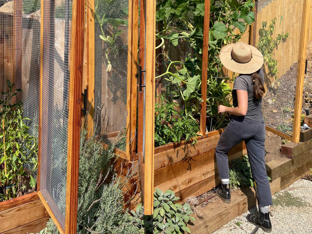 Enclosed Raised Bed