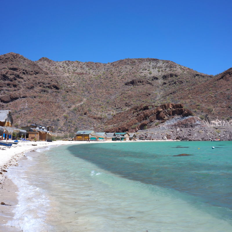 San Ignacio (Baja California) – Travel guide at Wikivoyage