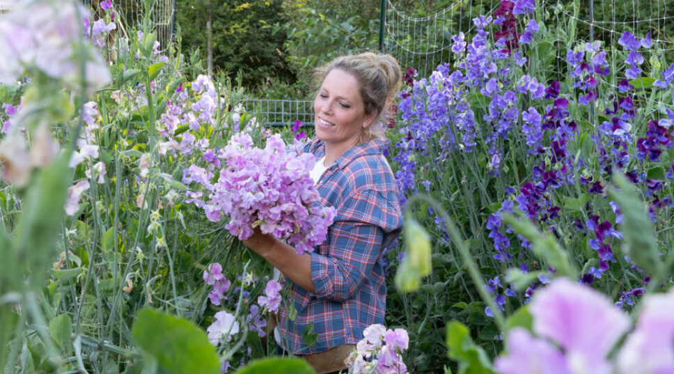Fall Is Actually the Best Time to Plant These Popular Flowers