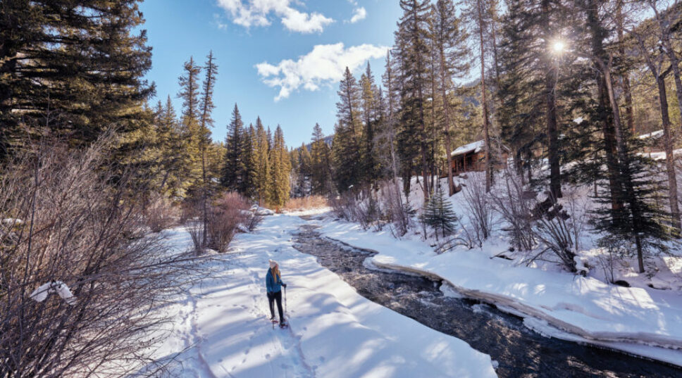 How I Found Peace This Winter on a Cold-Plunging, Snow-Shoeing, Forest-Bathing Adventure