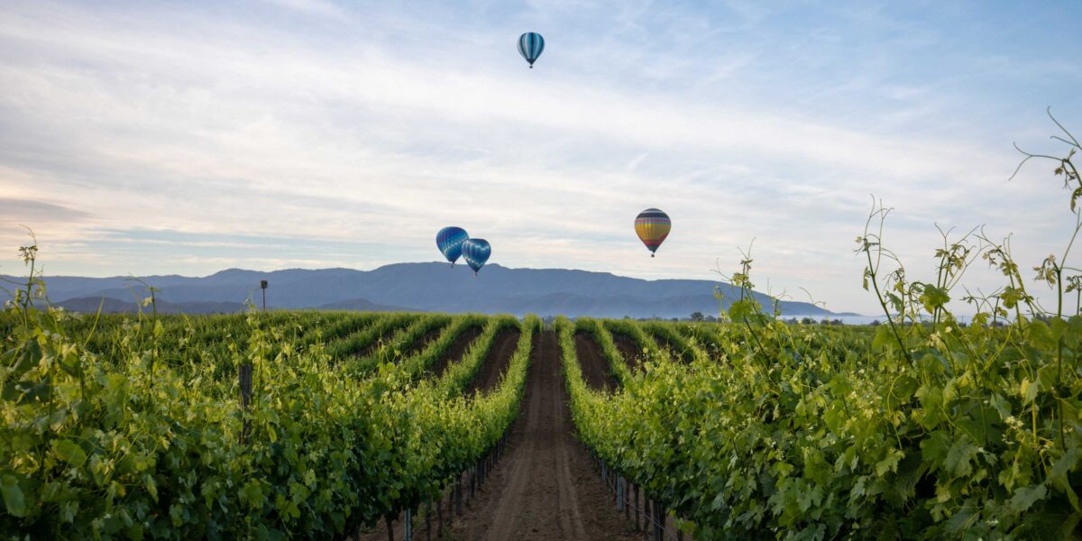 Temecula Wine Country Landscape with Balloons