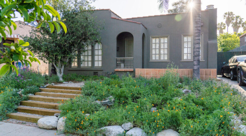 Too Hot to Plant? Here Are 10 Things to Do for Your Native Garden in August