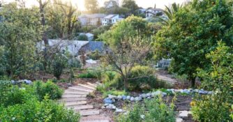 A Terremoto Garden Project