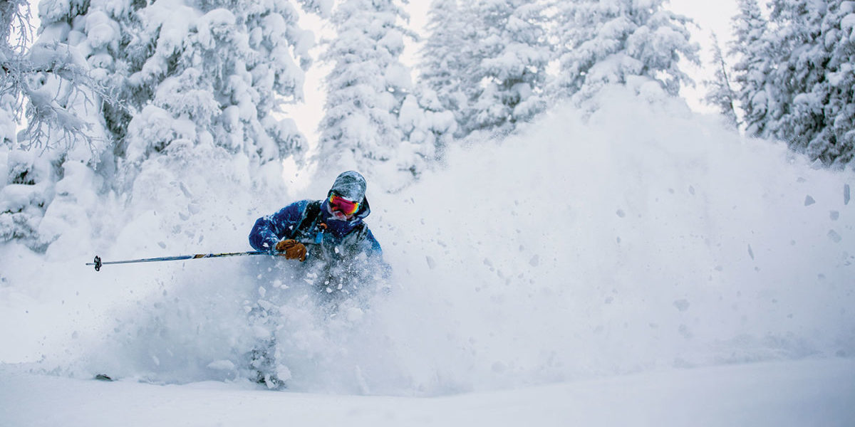 Skier skiing between the trees with snow at Wolf Creek in Colorado